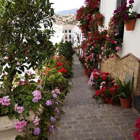 Casa De Las Flores - A Picture Perfect Location! El Gastor Ngoại thất bức ảnh