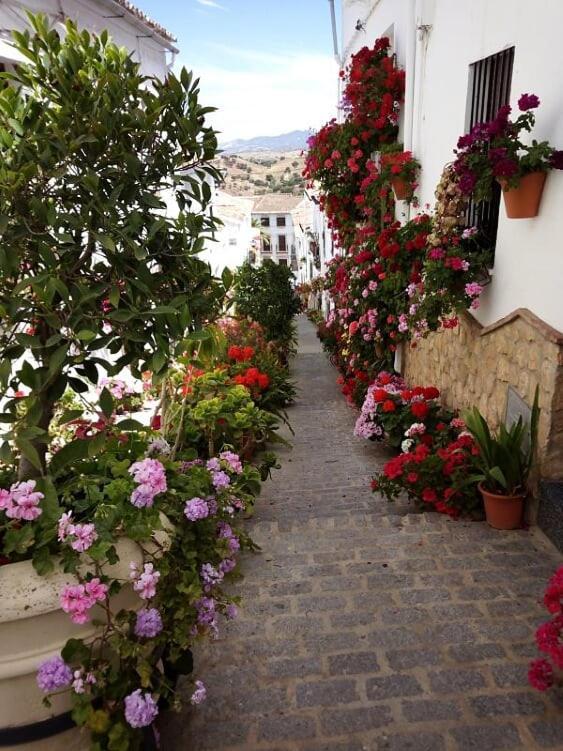 Casa De Las Flores - A Picture Perfect Location! El Gastor Ngoại thất bức ảnh