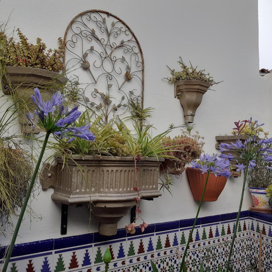 Casa De Las Flores - A Picture Perfect Location! El Gastor Ngoại thất bức ảnh